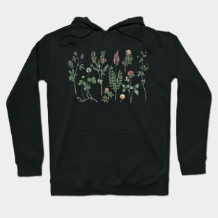 Clover Herbarium Colorful Floral Botanical illustration Hoodie